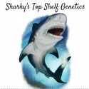 Sharky's Genetics