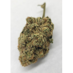 NOW AVAILABLE! Cherry Pie Kush BREATH F1 4 Clone