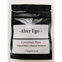 Cannalope Haze (Original Haze x Mexican Heirloom)