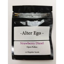 Strawberry Diesel (open Pollen)