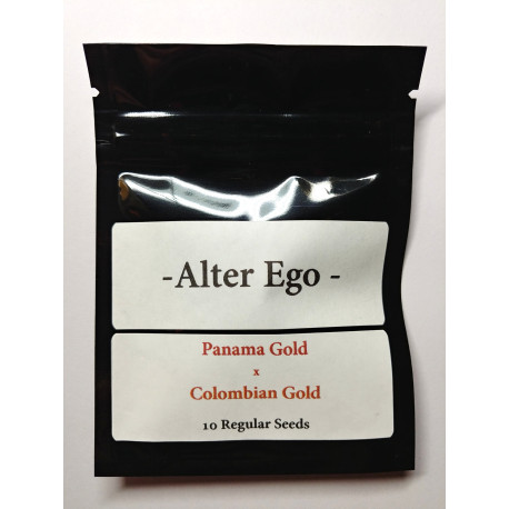 NEW! Panama Gold x Colombian Gold