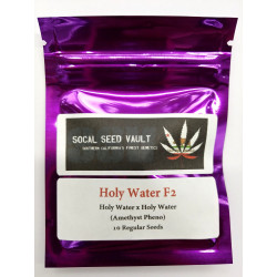 NEW! Holy Water F2 (Amethyst)