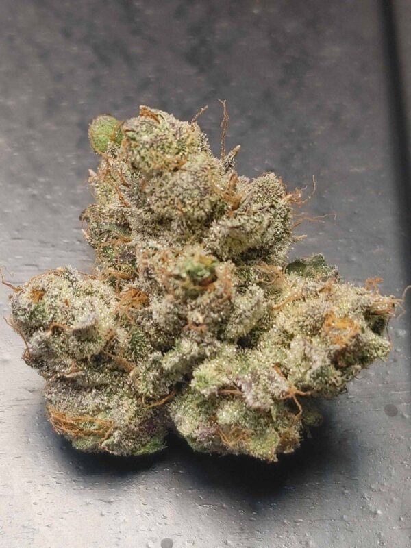 20240815_162801_HDR-scaled-1-1-1.jpg Z Cherries by Socal Seed Vault. Picture of a frosted up bud and she looks tasty!