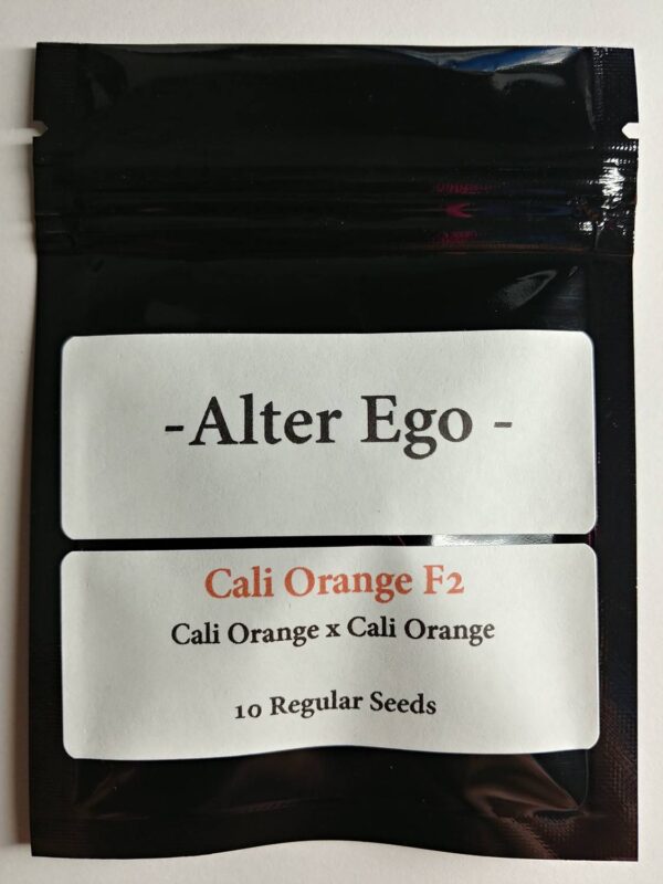Cali-Orange-1-1.jpg Alter Ego Genetics Cali Orange F2 - No lemon, all orange terps with his version