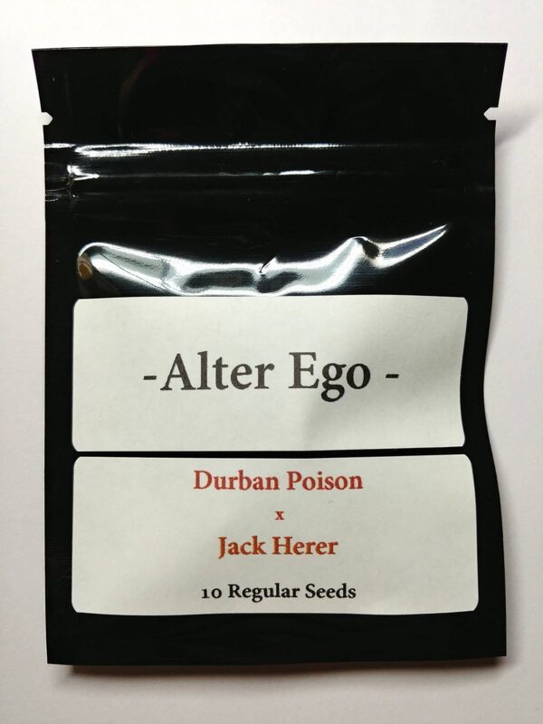 Durban-Poison-x-Jack-Herer-1-1.jpg Durban Poison x Jack Herer By Alter Ego Genetics