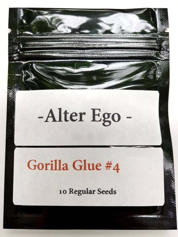 Gorilla Glue 4 BX3 by Alter Ego Genetics