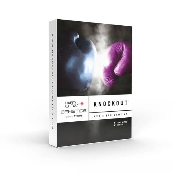 Knock-Out-1.jpg Happy Valley Genetics - Knockout Feminized Seeds