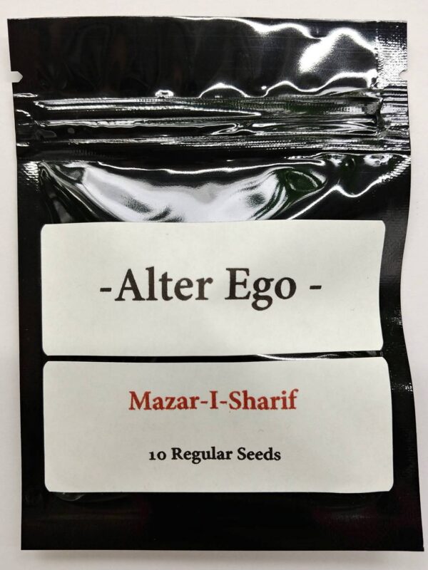 Mazar-I-Sharif-1-1.jpg Mazar I Sharif