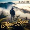 Mendo-Breath-2-1-1.jpg Atlas Seeds - Mendo Breath - 5 Feminized Seeds