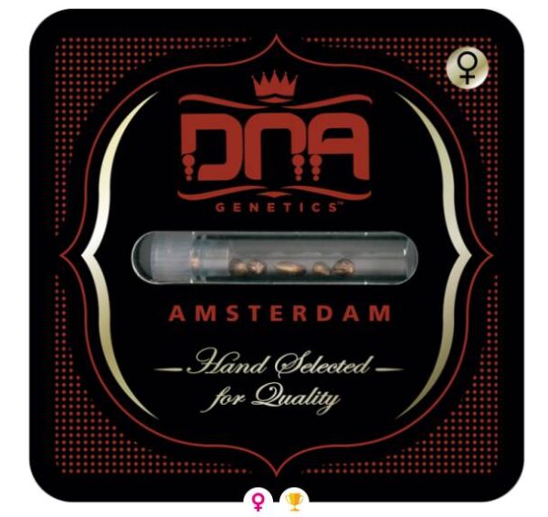Pack-Pic-1-1-1.jpg DNA Genetics - Purple Chocolope