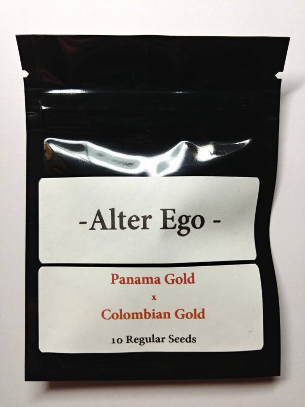 Panama-Gold-x-Colombian-Gold-1-1.jpg Alter Ego Genetic - Panama Gold x Colombian Gold (Frosty Pheno)