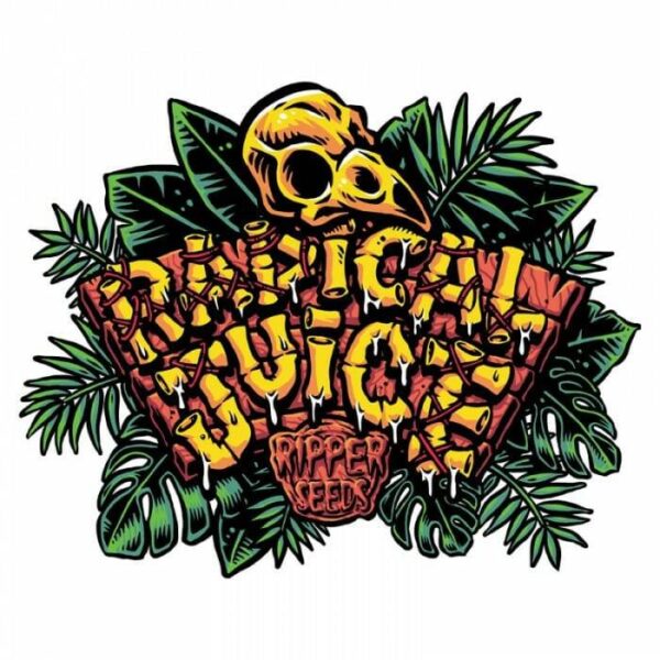 Radical-Juice-1-1.jpg Ripper Seeds - Radical Juice