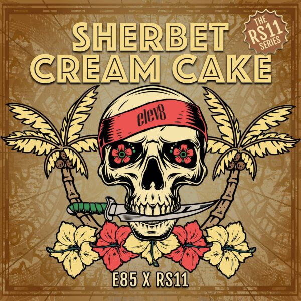Sherb Cake 3- Elev8 Seeds - Socal Seed Vault Elev8 Seeds - Sherbet Cream Cake Feminised Seeds - 6