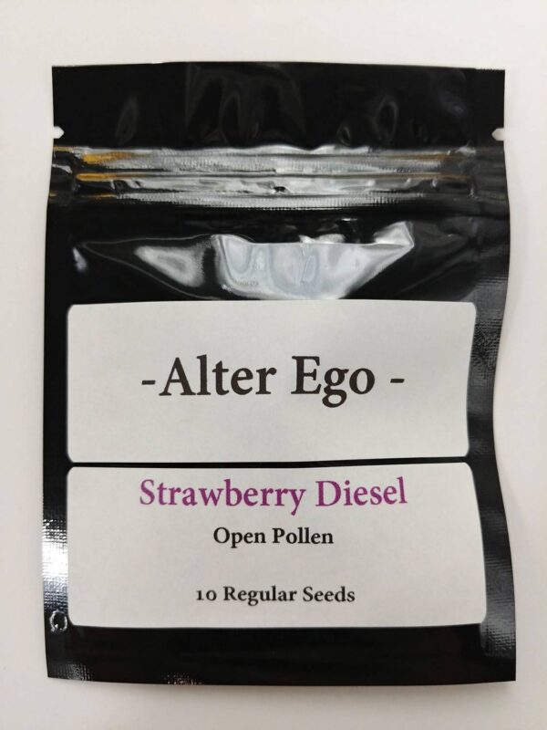 A full pack of 10 cannabis seeds of Strawberry Diesel by Alter Wgo
