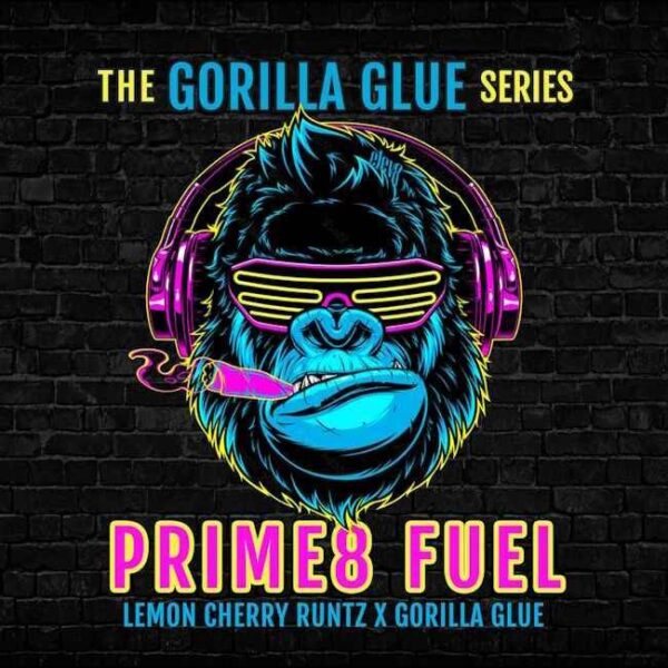 prime-8-fuel-opt.jpg Elev8 Seeds - Prime8 Fuel Feminised Seeds - 6