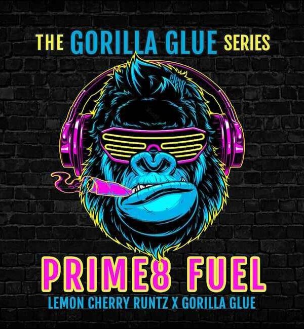 prime-8-fuel-opt.jpg Elev8 Seeds - Prime8 Fuel Feminised Seeds - 6