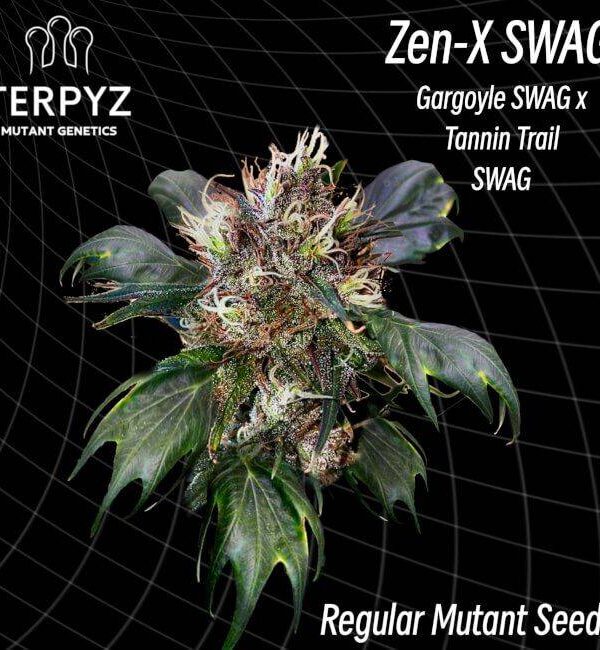 zen-x-swag_1.jpg TerpyZ Mutant Genetics - Zen-X Swag Regular Seeds - 10
