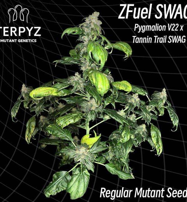 zfuel-swag.jpg TerpyZ Mutant Genetics - Zfuel Swag Regular Seeds - 10