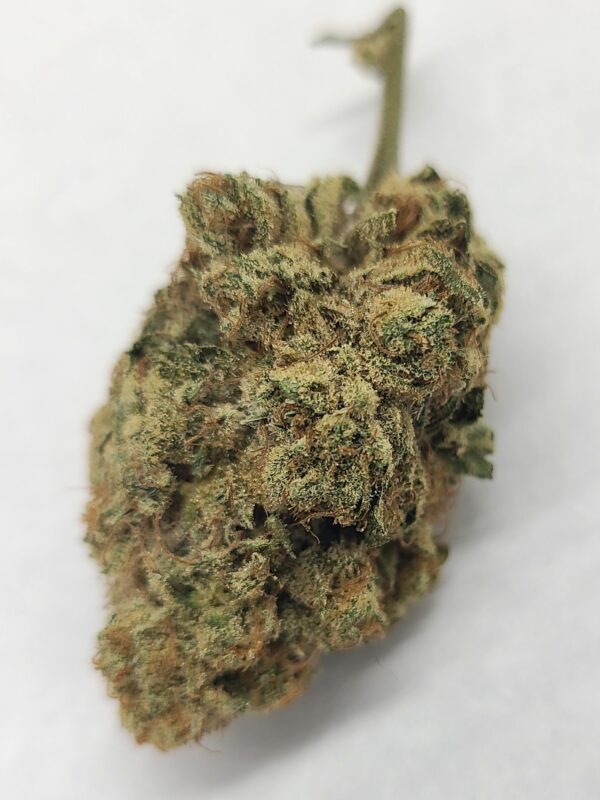 CPKB-F1-4-cut-2 Cherry Pie Kush Breath F2 #4 from Socal Seed Vault. It's a legendary cut.