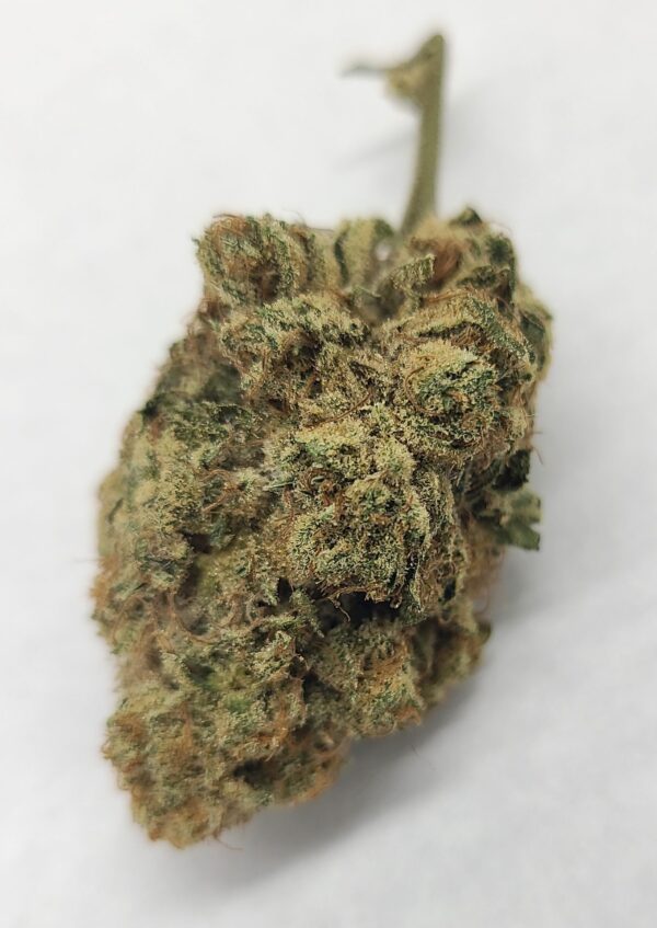 Cherry Pie Kush Breath F2 #4 from Socal Seed Vault. It's a legendary cut.