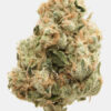 Untitled-8 Socal Seed Vault Snips of AJ Sour Diesel