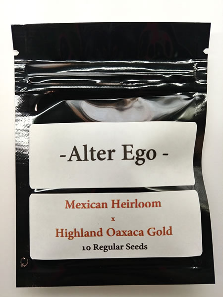 Mexican Heirloom x Highland Oaxaca Gold: A Psychedelic Journey to New Heights