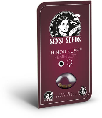 Hindu Kush Cannabis Landrace Seeds by Sensi Seed. Picture of the pack.