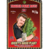 Trailer-Park-Boys-Rickys-Hash-Plant Ricky's Hash Plant Seeds: Potent G13 Hybrid from Brothers Grimm. Picture of RIcky Hugging big huge bugs.