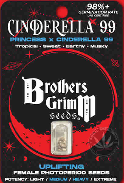 Cindy Cannabis Seeds by Brother Grimm a nice bud and cola