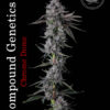 Compound_Genetics_Chrome_Dome A amazing bud shot from Compound Genetics of their new release strain of Chrome Dome