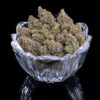 Princess_Haze_brothers_Grimm_2 Princess Haze by Brothers Grimm a picture a fat bowl of grown our buds