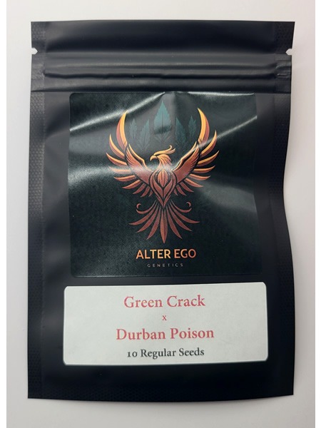 Green_Crack_Durban_Poison Green Crack x Durban Poison