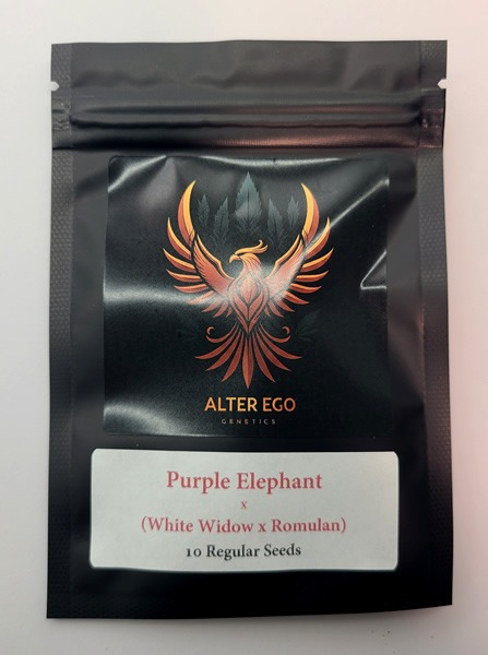 Purple Elephant x (White Widow x Romulan Joe) - Another Rarity!