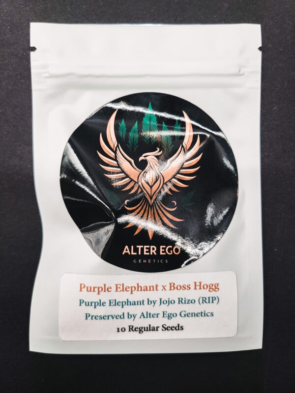 Purple_Elephant_x_Boss_Hogg Purple Elephant x Boss Hogg picture of the pack from Alter Ego Genetics