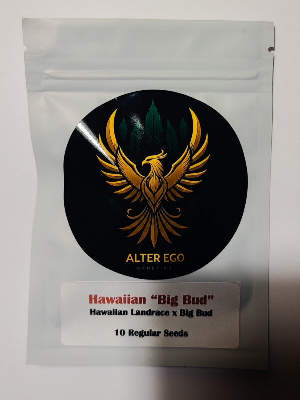 20251029_184312(0) Hawaiian Big Bud Pack picture