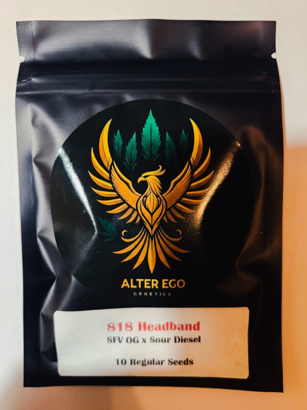 20251128_030619 818 Headband Cannabis Seeds | Alter Ego Genetics