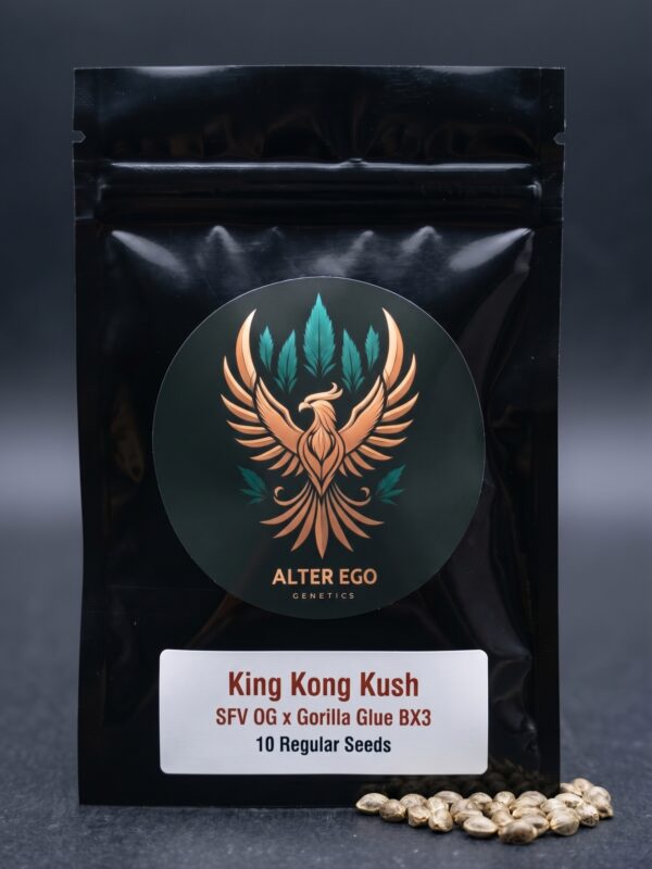 King Kong Kush Seeds by Alter Ego Genetics A picture of the a pack of seed of King Kong Kush with a grey mundane background and seeds on the bottom