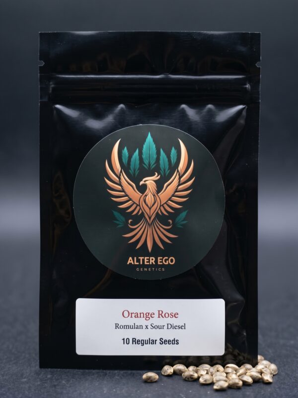 Picture of a pack from Alter Ego Genetics of Orange Rose